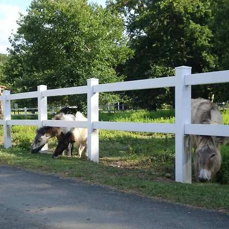 Vakantiepark Le Ruisseau - Euroresorts Bidart